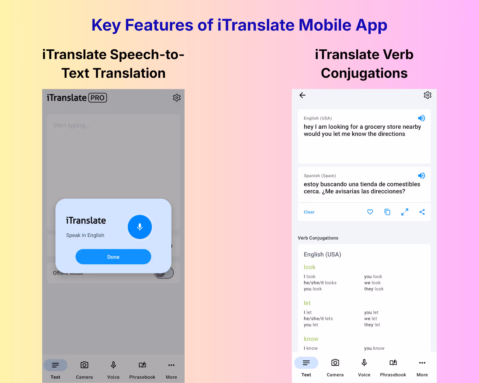 itranslate speech to text and verb conjugations